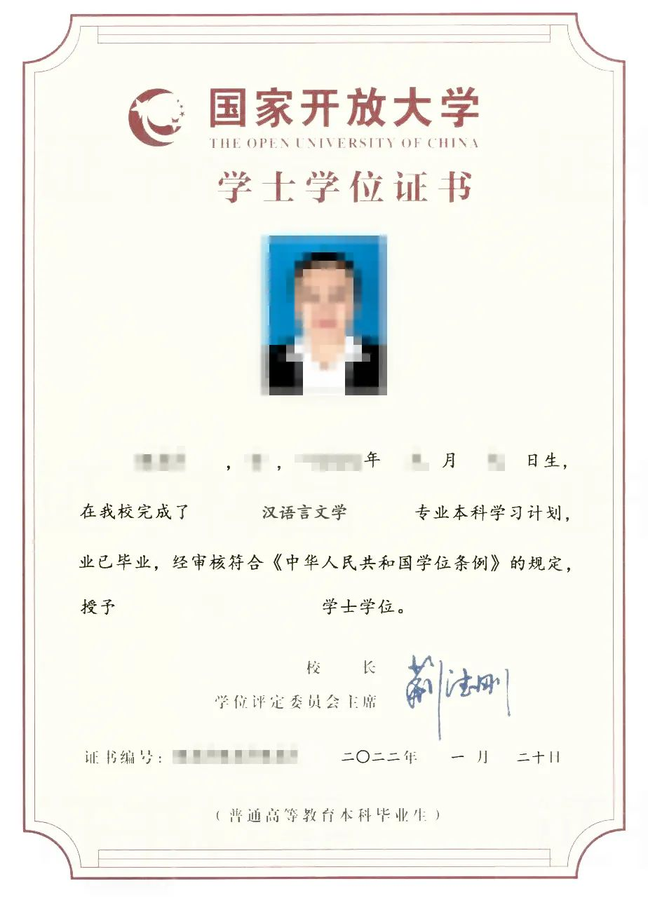 20241113